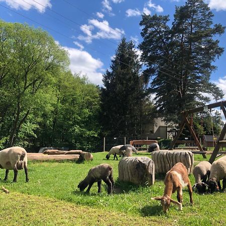 Kamenacka Myslivna Ξενοδοχείο Moravany  Εξωτερικό φωτογραφία